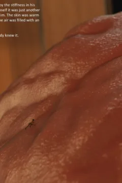 The-Signal-Redux-048