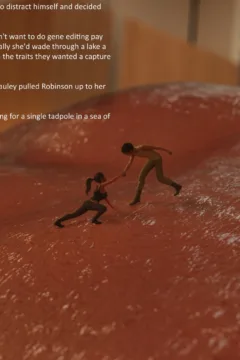 The-Signal-Redux-049