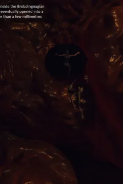 The-Signal-Redux-078