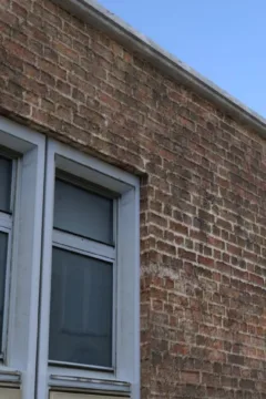 Ultimate Solution (97)