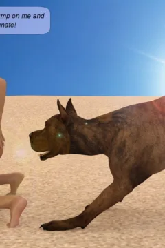 Beach Volleyball (25)