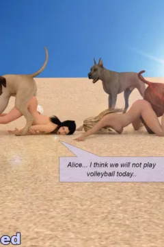 Beach Volleyball (30)