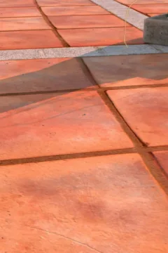 Do Not Ask Her For Money (14)