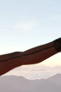 Do Not Ask Her For Money (39)