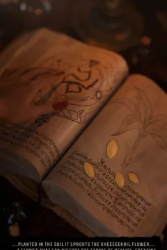 Fabiana’s Pitfall (5)