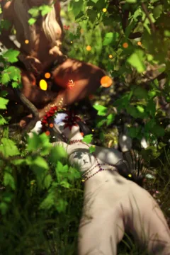 Fabiana’s Pitfall (75)