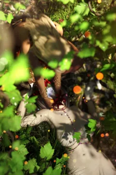 Fabiana’s Pitfall (76)