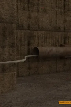 Roomies Trapped (37)