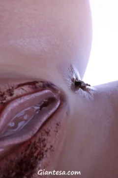 (SC6) Sociopathic – Part Six16