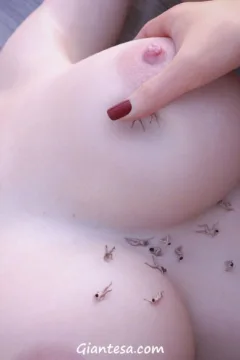 (SC6) Sociopathic – Part Six77