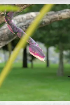 Sexy Bible Stories – Genesis One-98