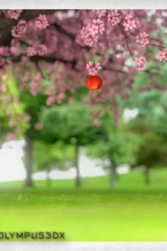 Sexy Bible Stories – Genesis One-99