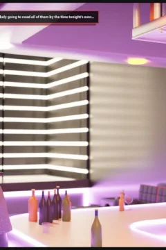 The Artemis Inn (31)