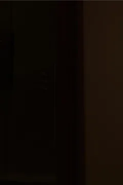 The Succubus Project (127)