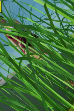 A Day in the Life of Mary (38)