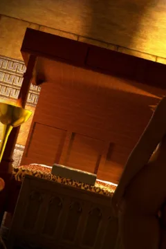 A Toy For a Princess (4)