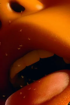 A Toy For a Princess (81)