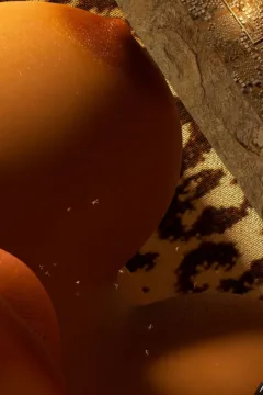 A Toy For a Princess (90)