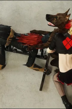 CGS148_Harley_Batgirl_24