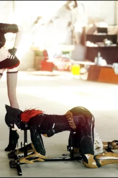 CGS148_Harley_Batgirl_42