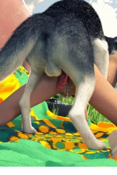 Dog Days JizzMasterZero 2020 56