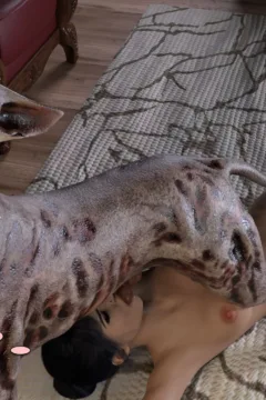 Julie_ZombieDog_10_text