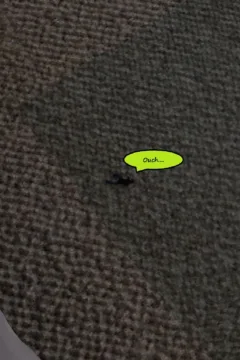 Kayla’s Revenge with Chase’s Shrink Ray-074