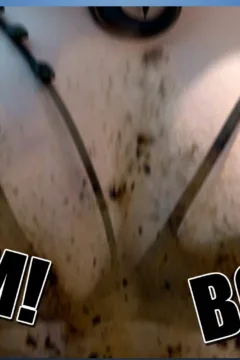 My Mega Micro Life 5 (89)