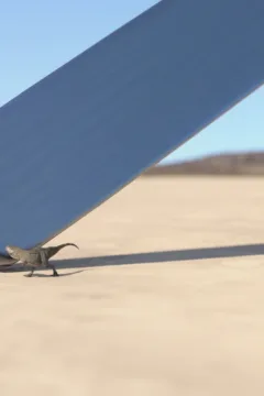 Prehistoric Journey (16)