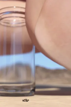 Prehistoric Journey (24)