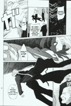 Tenimuhou Gaiden (31)