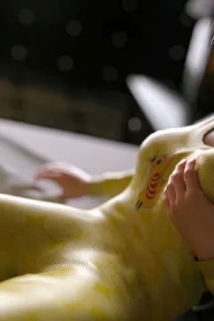 VN_Little_Bird_048_by_hoven4