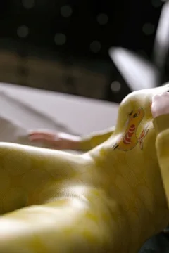 VN_Little_Bird_055_by_hoven4