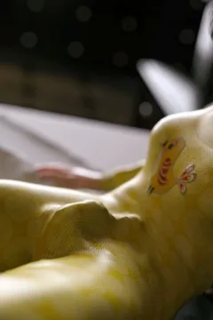 VN_Little_Bird_058_by_hoven4