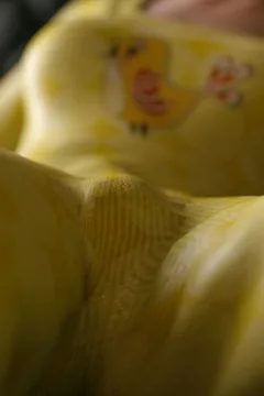 VN_Little_Bird_060_by_hoven4