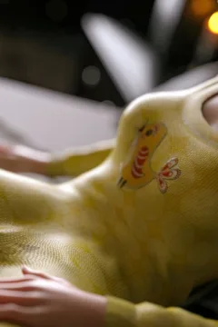 VN_Little_Bird_074_by_hoven4