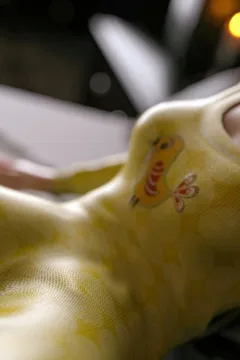 VN_Little_Bird_077_by_hoven4