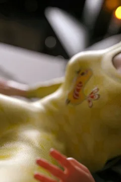 VN_Little_Bird_078_by_hoven4