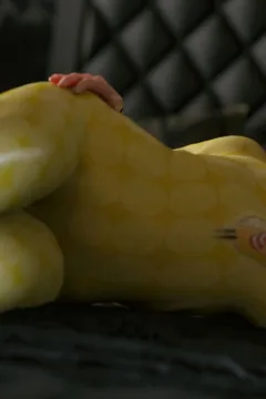 VN_Little_Bird_083_by_hoven4