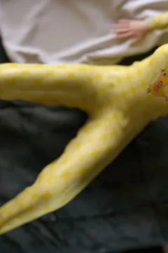 VN_Little_Bird_086_by_hoven4