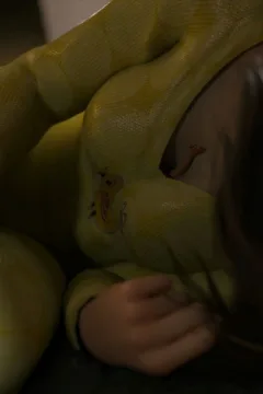 VN_Little_Bird_117_by_hoven4