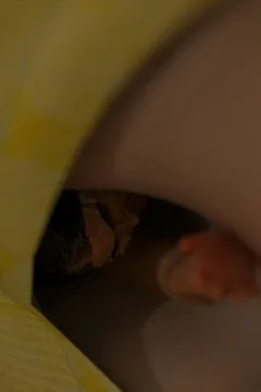 VN_Little_Bird_118_by_hoven4