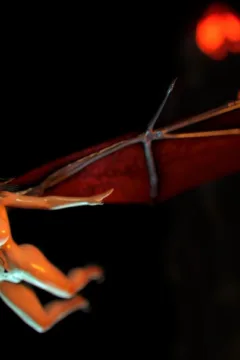 visionofdeadtide_2_1080p_136