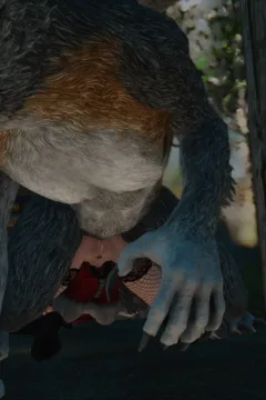 Little Red Riding Hood 1 (52)