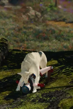 Little Red Riding Hood 2 (20)