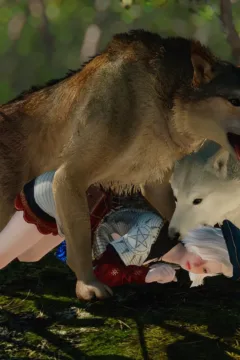 Little Red Riding Hood 2 (31)