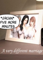 NaughtyTinkerer – A very different marriage 1
