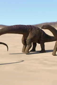 Prehistoric Journey (48)