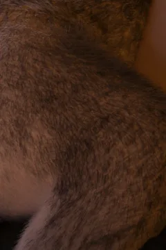 Princess in Trouble-21