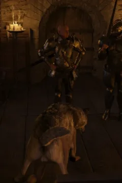 Princess in Trouble-39